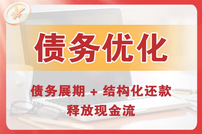 巴中债务优化